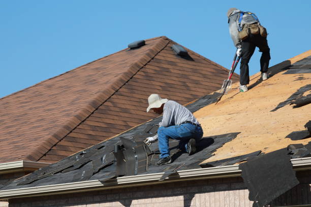 Best Roof Maintenance and Cleaning  in Columbia, TN